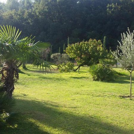 Provence Bed & Breakfast Carpentras Exterior foto
