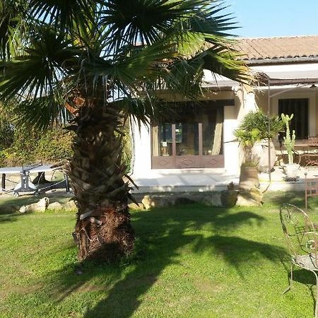 Provence Bed & Breakfast Carpentras Exterior foto